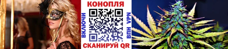 Наркошоп купить Амфетамин  Конопля  СОЛЬ  Мефедрон  ГАШИШ  Заречный