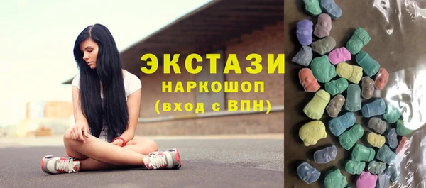 индика Зеленодольск