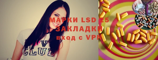 индика Зеленодольск