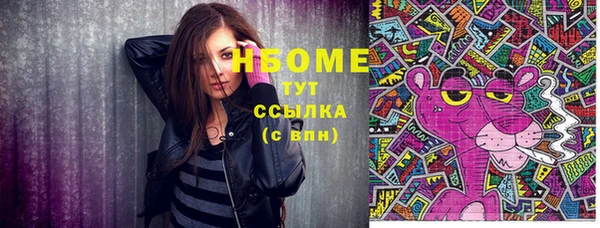 индика Зеленодольск