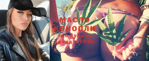 индика Зеленодольск