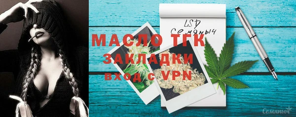 индика Иннополис