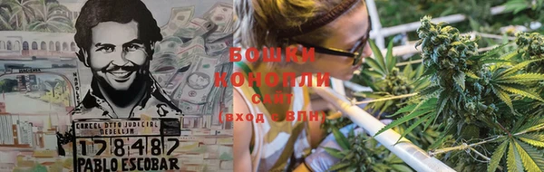 индика Зеленодольск