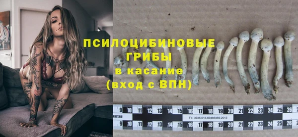 индика Иннополис