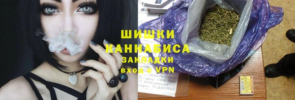индика Иннополис