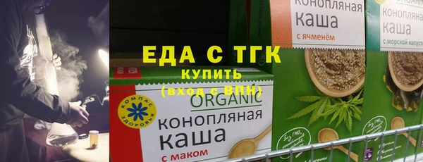 индика Зеленодольск