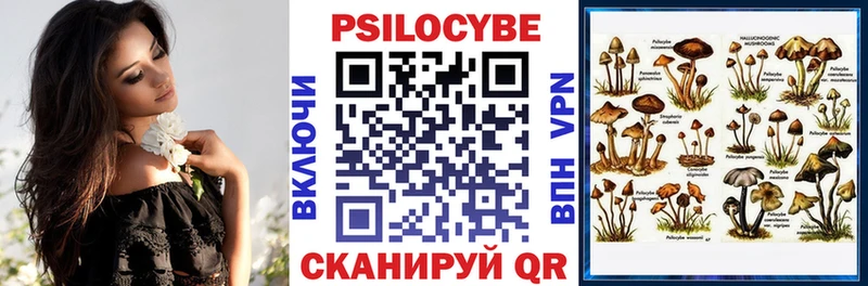 Галлюциногенные грибы прущие грибы  Купить  Заречный 